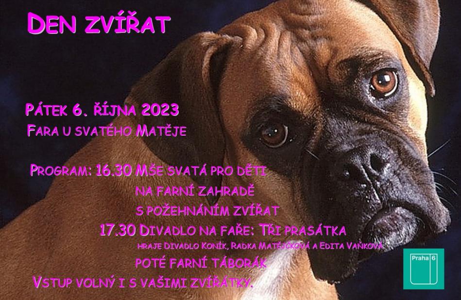 Hlavní foto