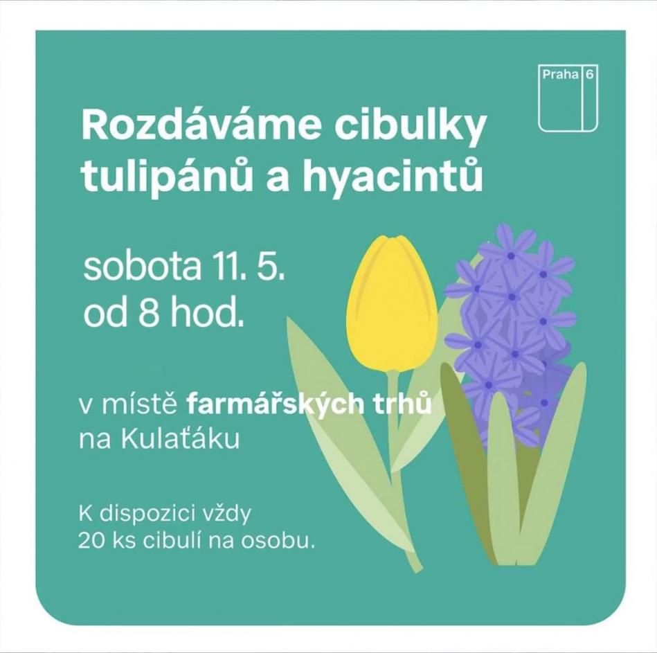 Hlavní foto